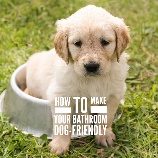 How to make your bathroom dog-friendly