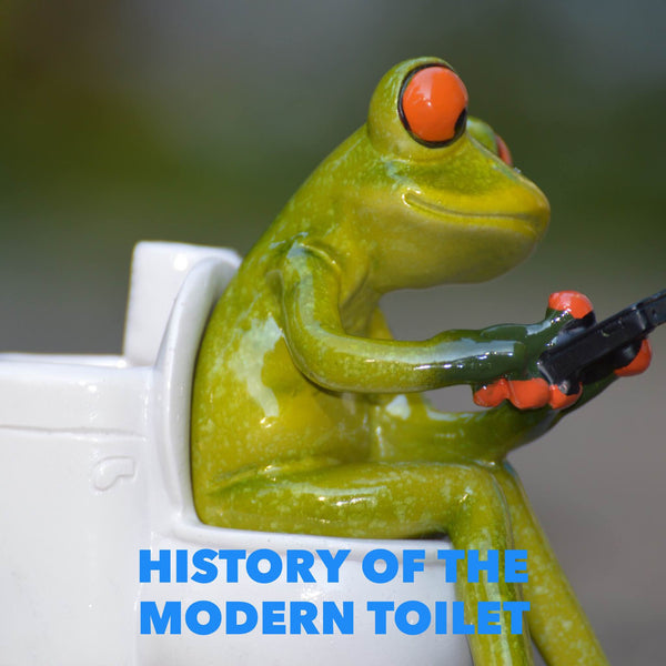 Historical facts about the modern toilet you probably didn't already know