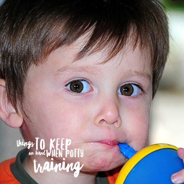 4 Things to always keep on hand when potty training