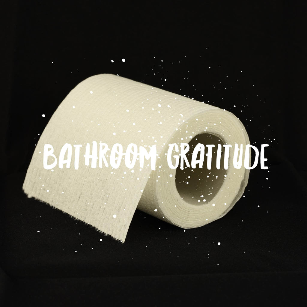 3 bathroom-related things to be grateful for in 2016