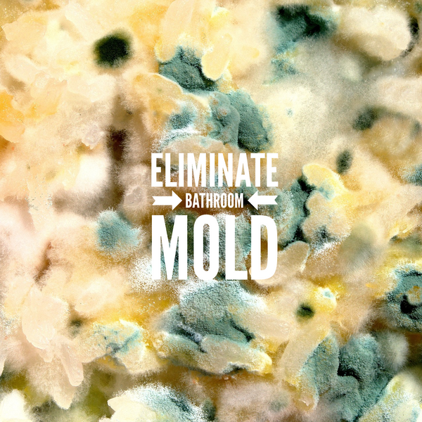 Get rid of bathroom mold